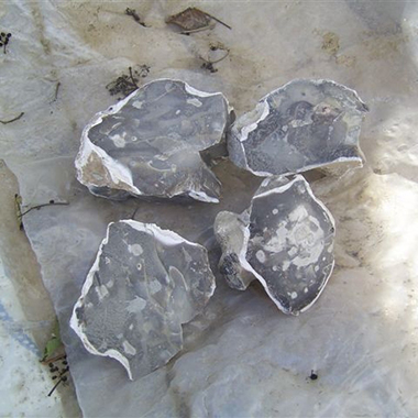 Field Knapped Flints